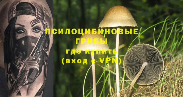 каннабис Каменногорск