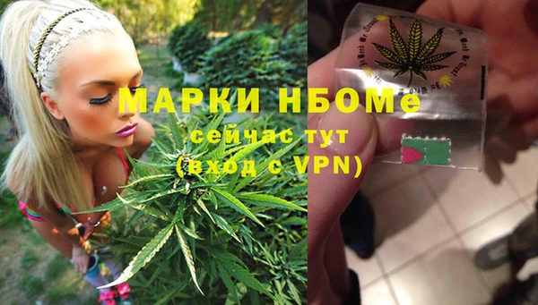 каннабис Каменногорск