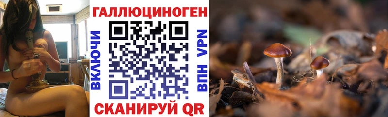 Галлюциногенные грибы мицелий  Киров 